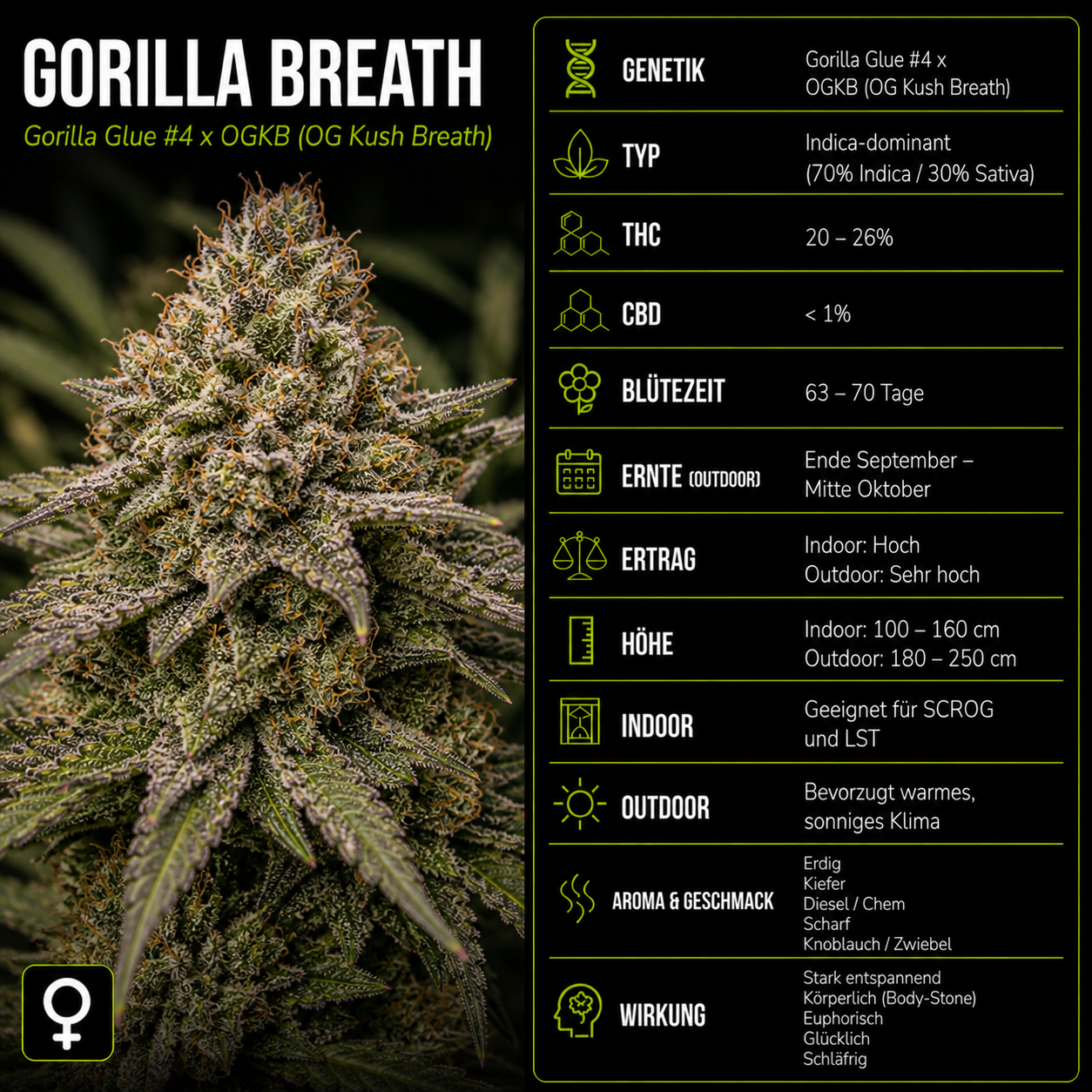 Fem | Gorilla Breath