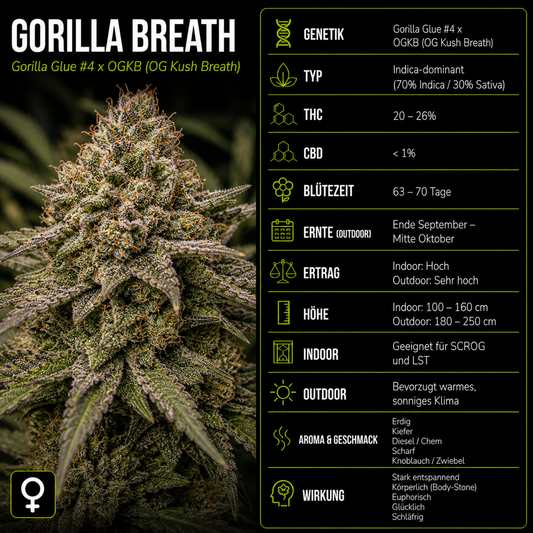 Fem | Gorilla Breath
