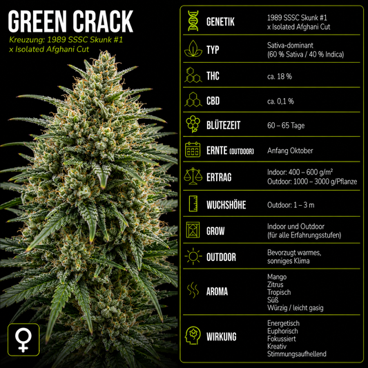 Fem | Green Crack