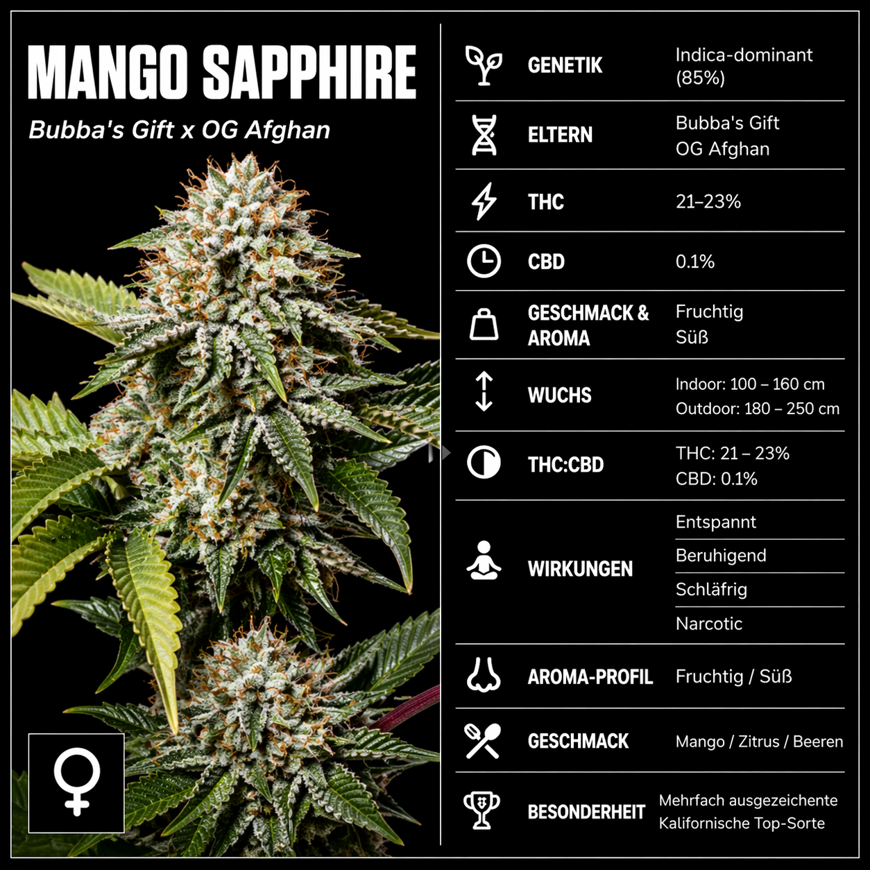 Fem | Mango Saphire