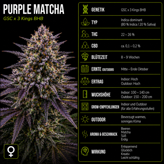 Fem | Purple Matcha