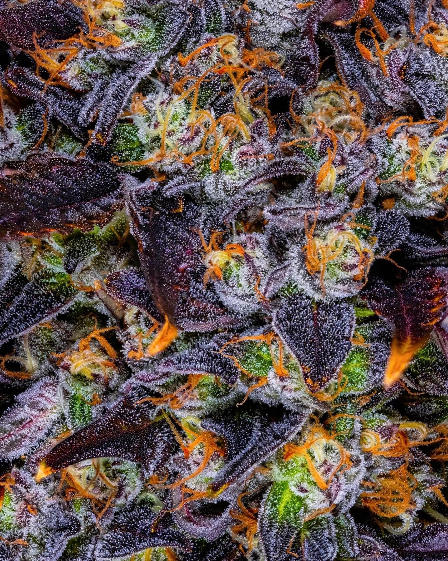 Strawberry Snack