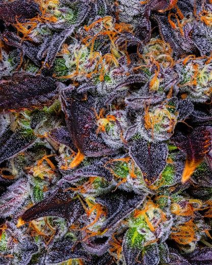 Strawberry Snack