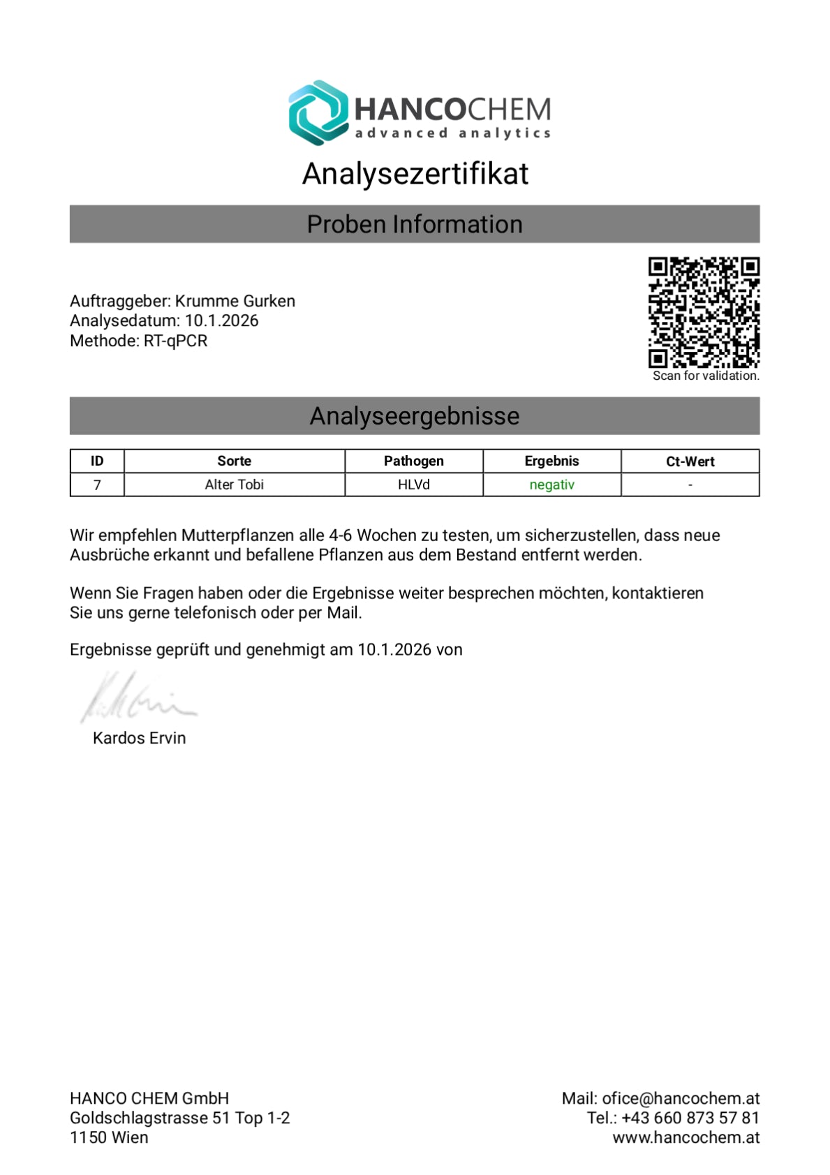 Steckling im Eazyplug