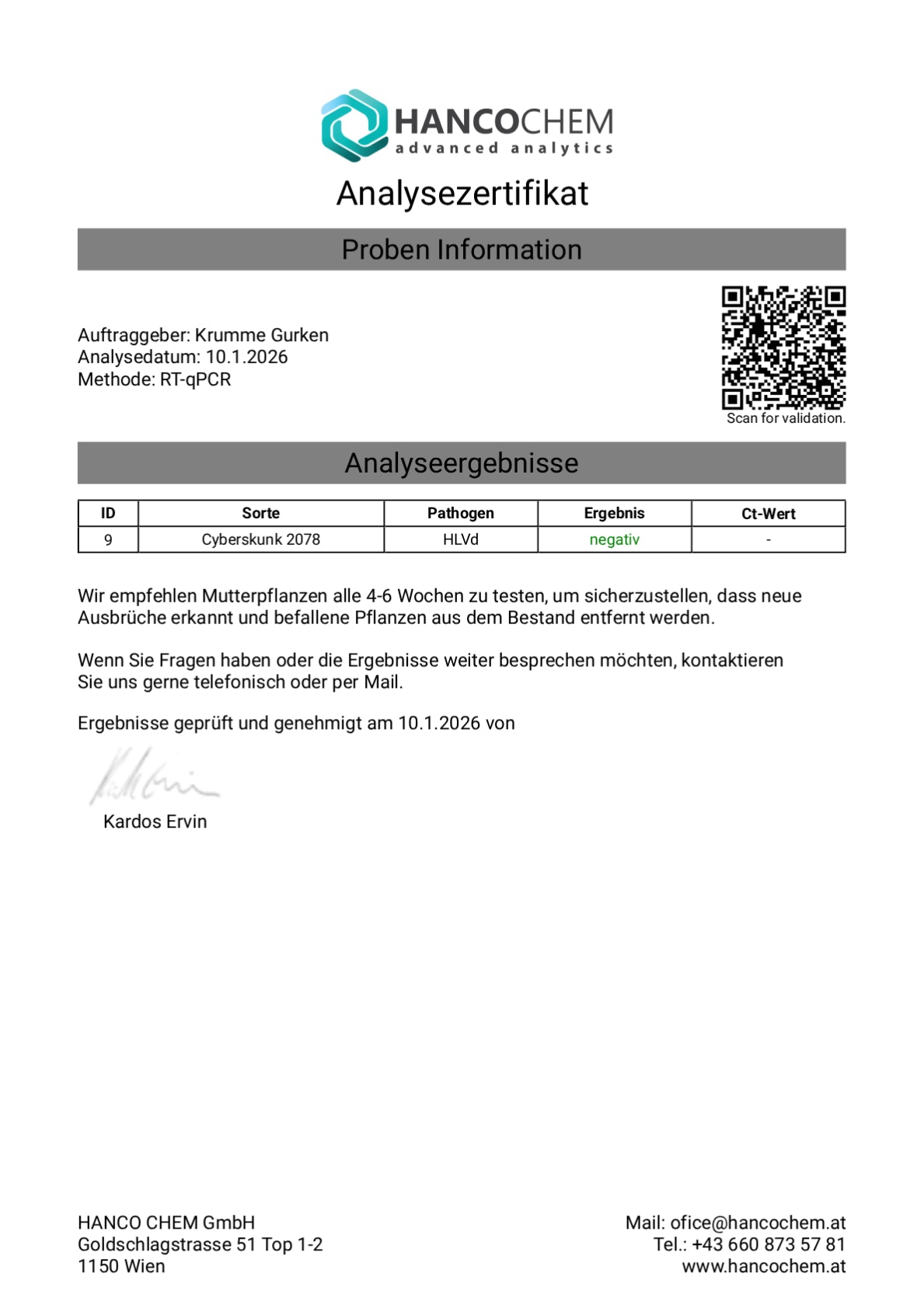 Steckling im Eazyplug