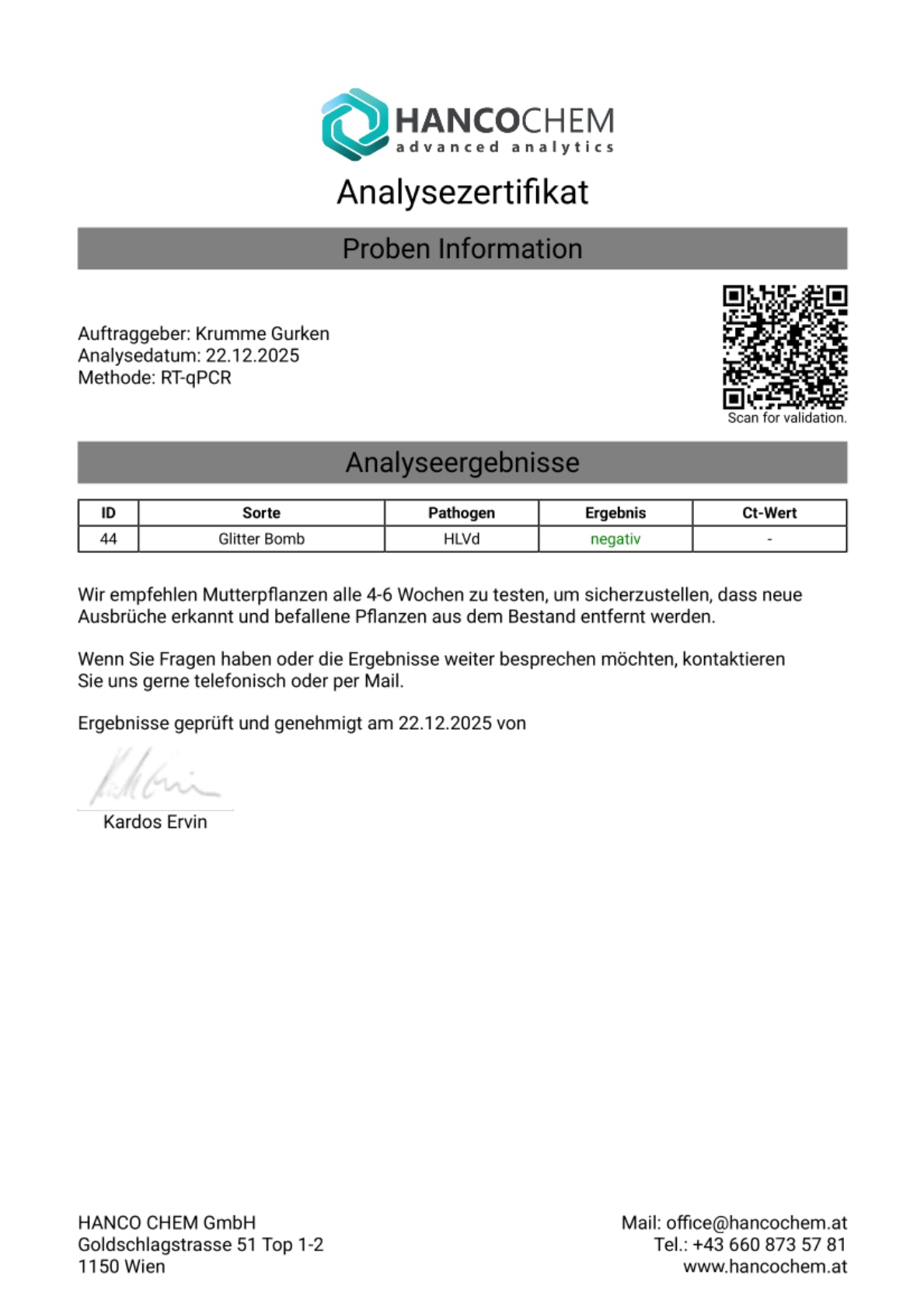 Steckling im Eazyplug
