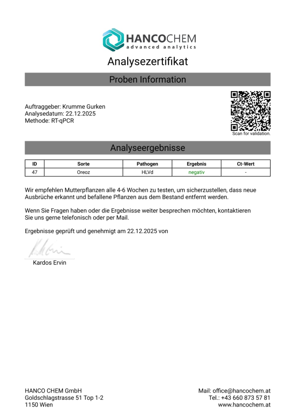 Steckling im Eazyplug